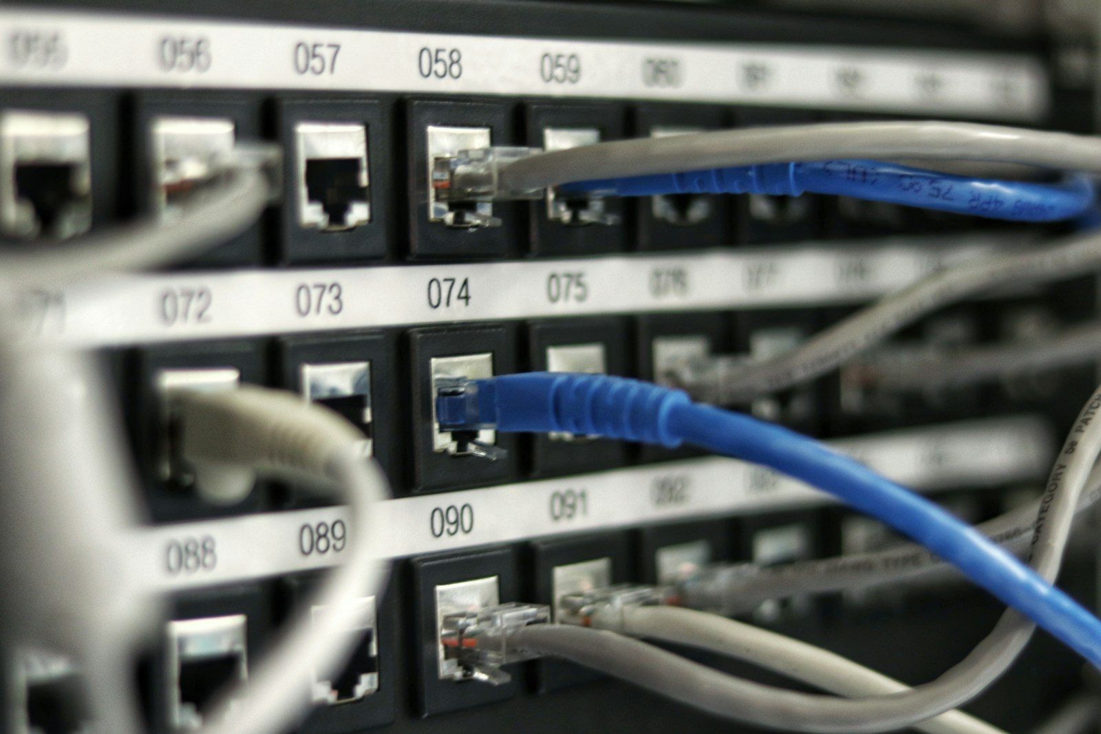 Numbered patch panel with blue and grey patch cords