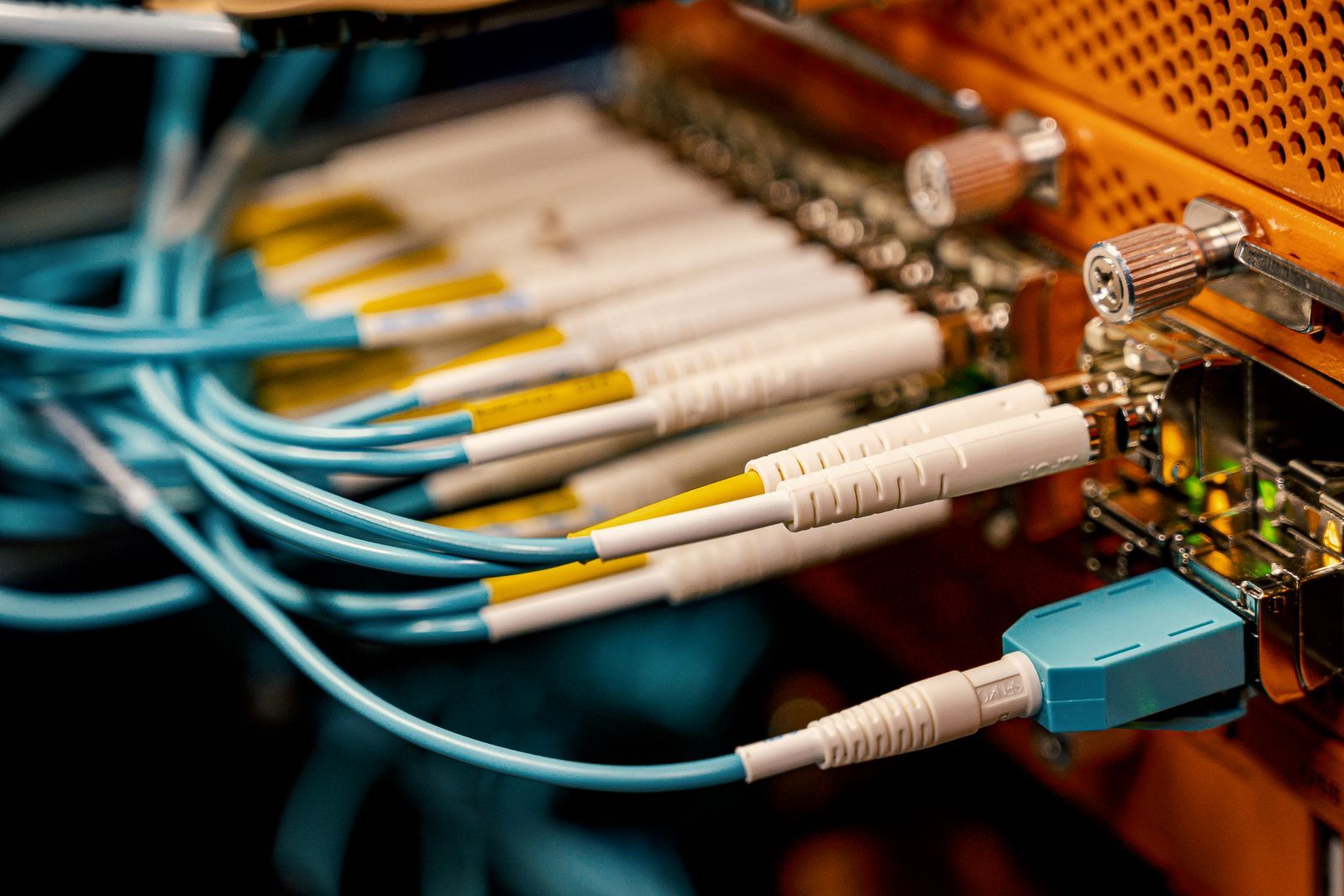 Close-up of fiber optic jumpers connected to network equipment